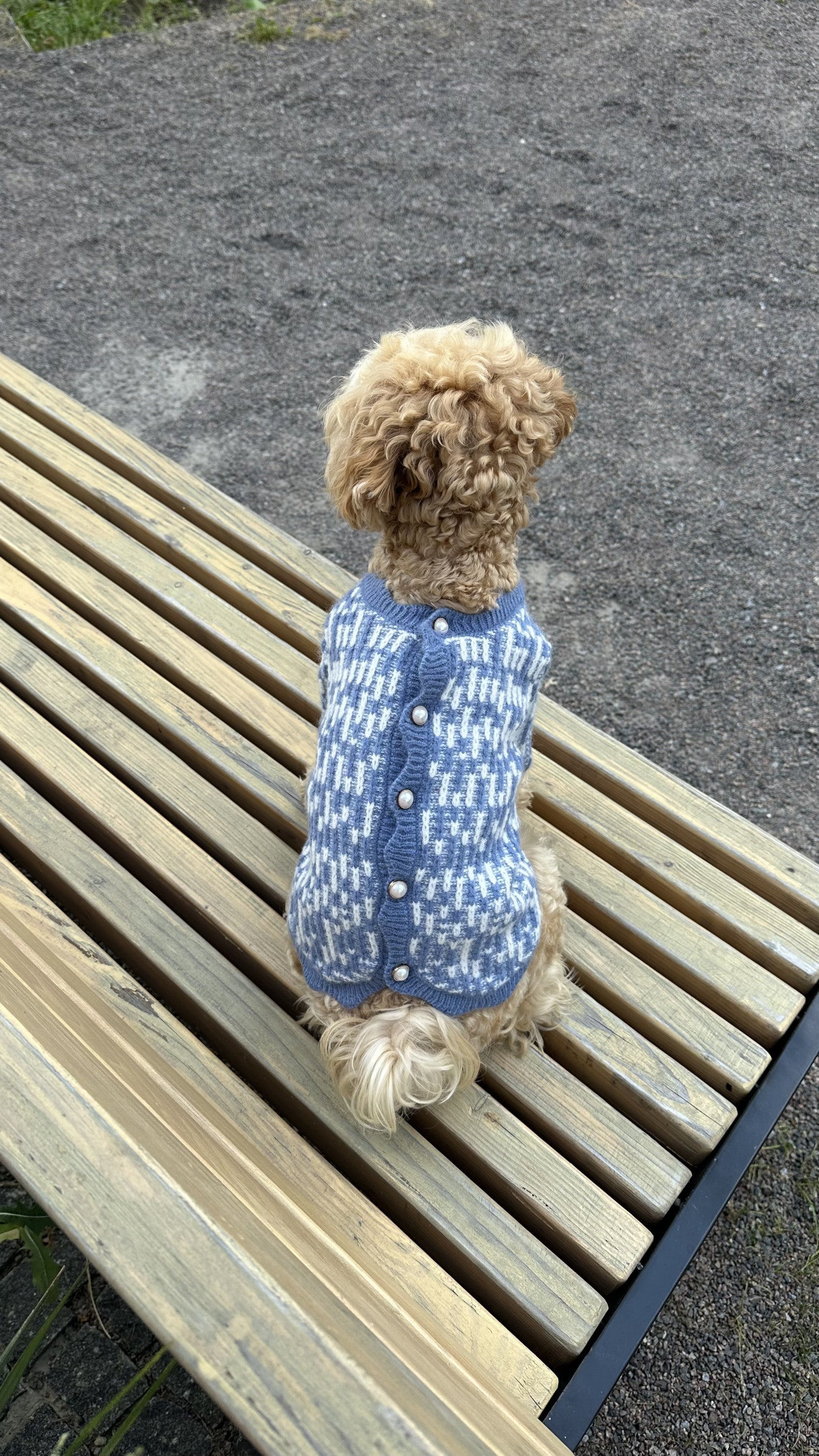 Светр блакитного кольору з ґудзиками на спинці