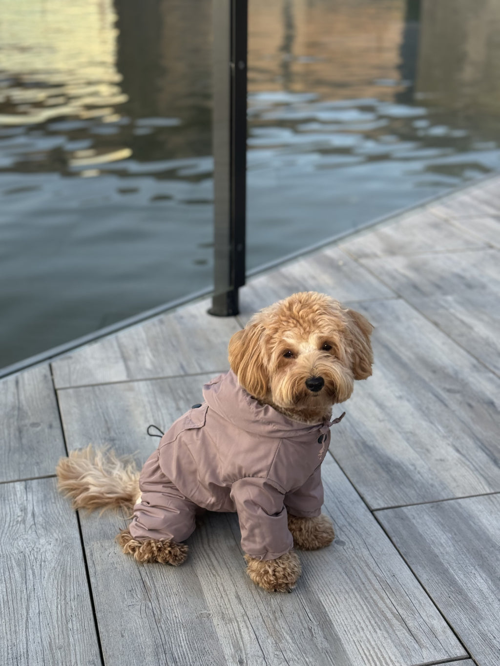 Cocoa Comfort mocha raincoat