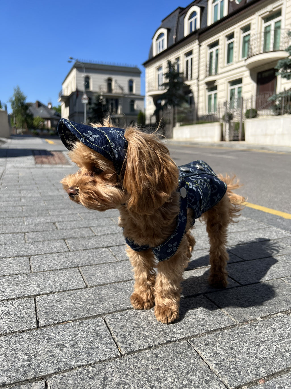 Straight denim sundress with LV print