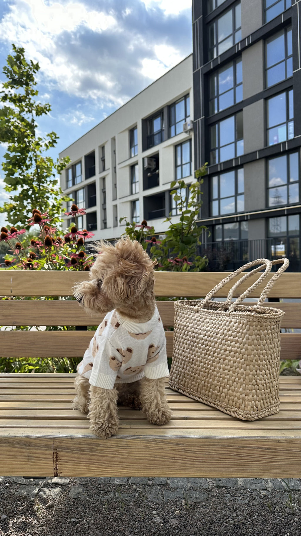 Светр білого кольору з принтом Light bear