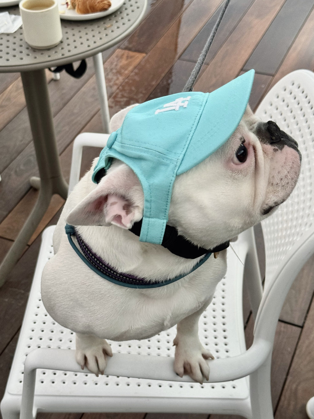 Кепка бірюзового кольору LA