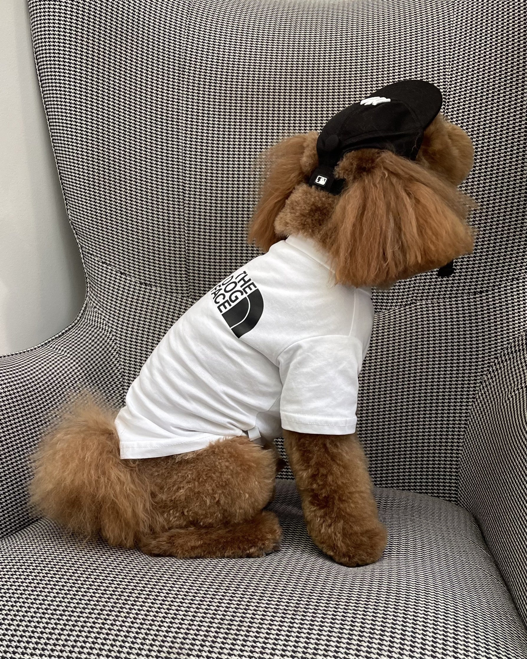 Кепка чорного кольору NY