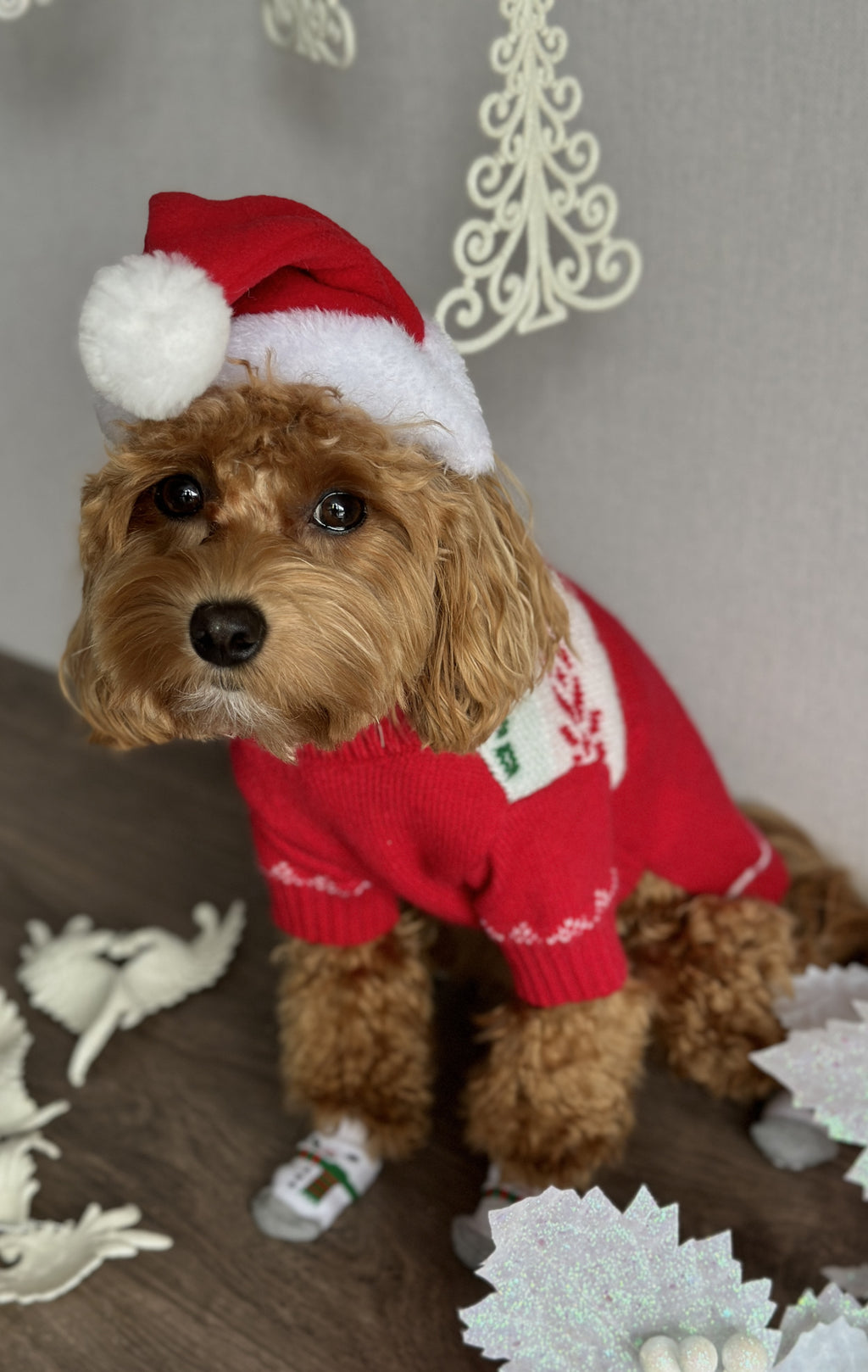 Ковпак новорічний червоного кольору Santa Pup