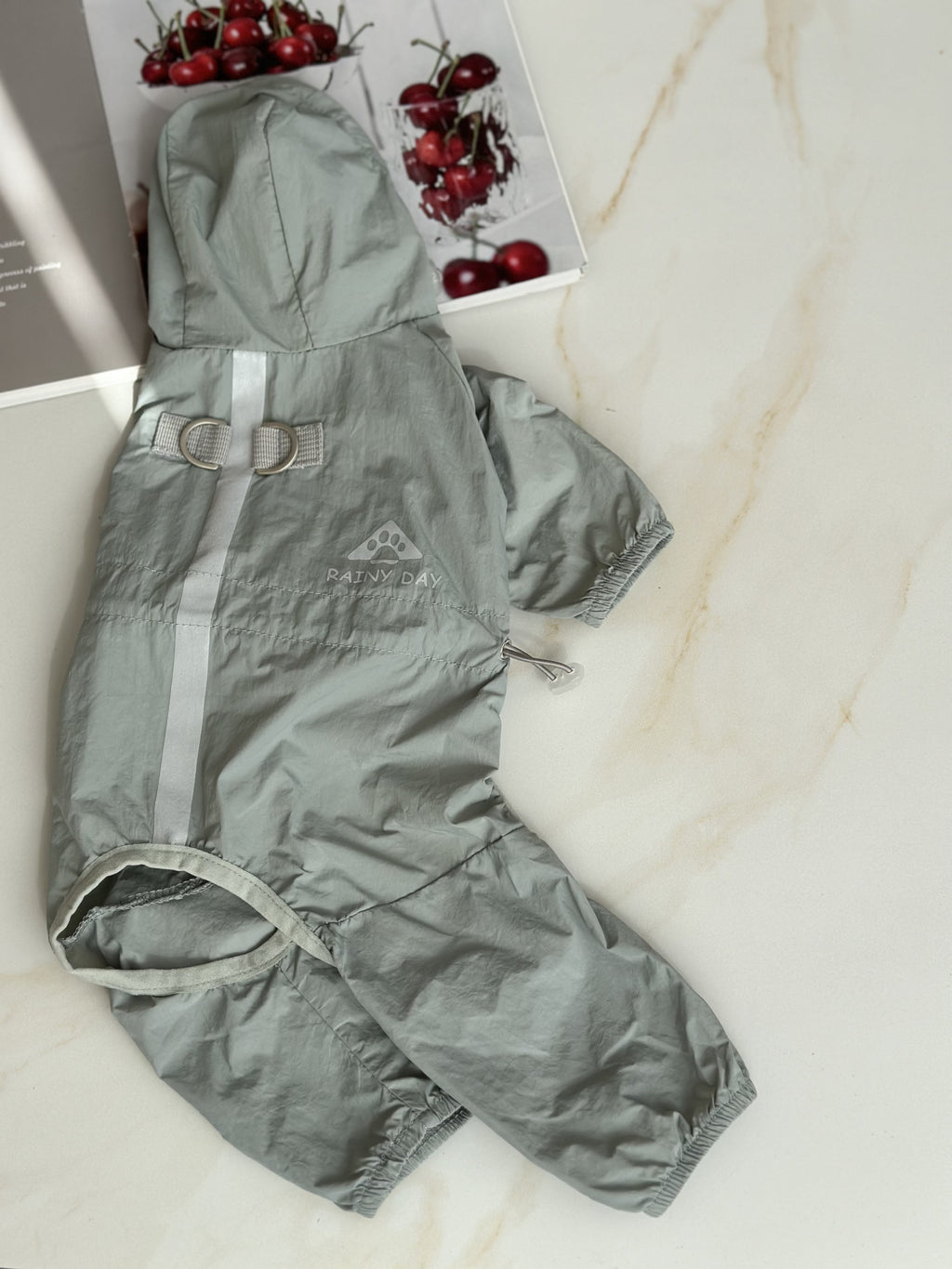 Дощовик мятного кольору Cheepet