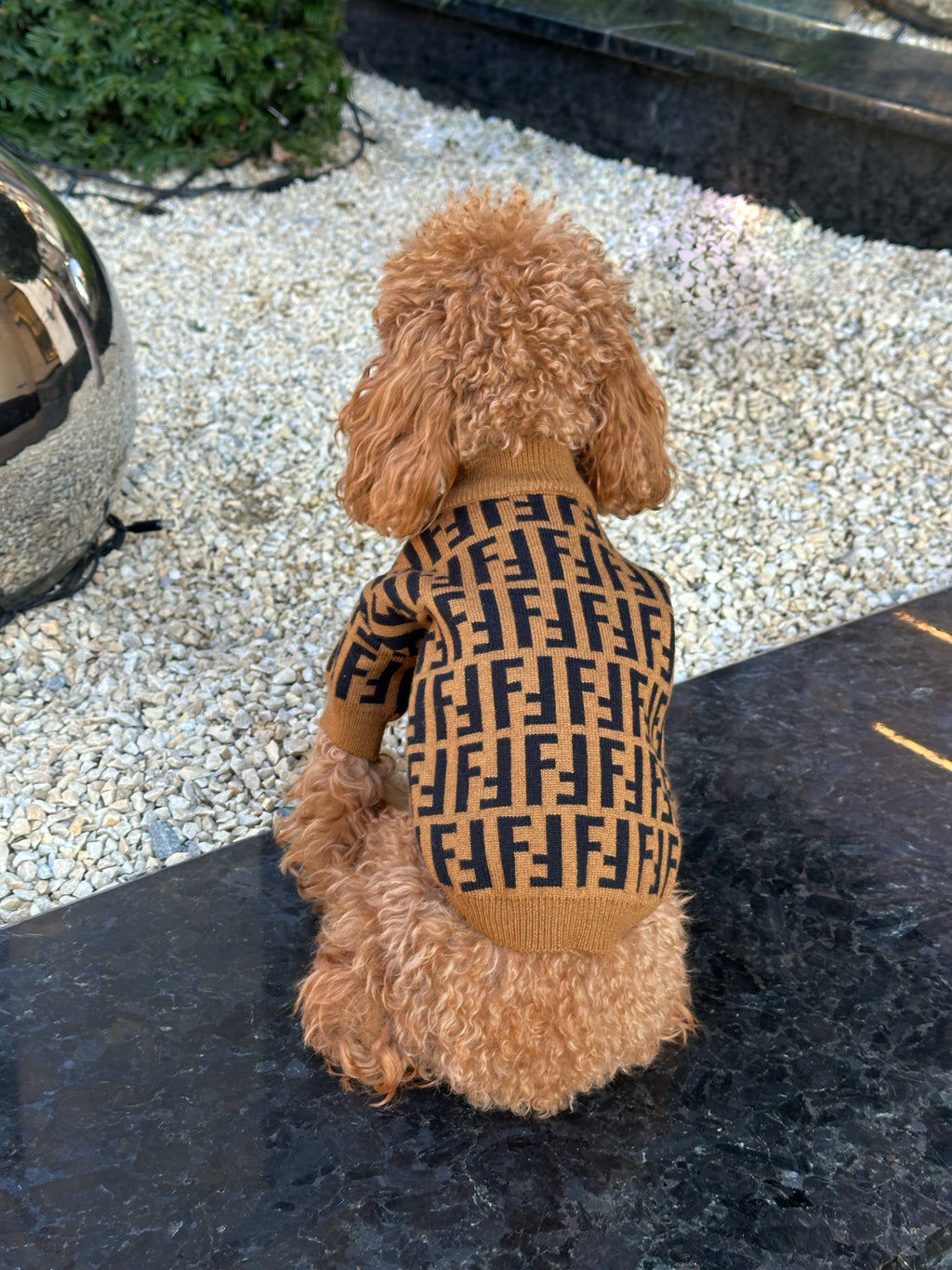 Brown sweater with Fendi print