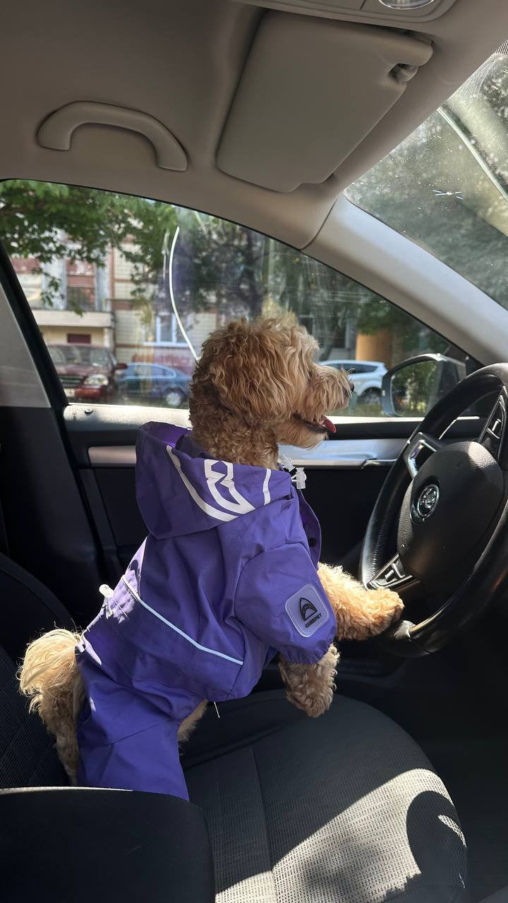 Cheepet purple raincoat