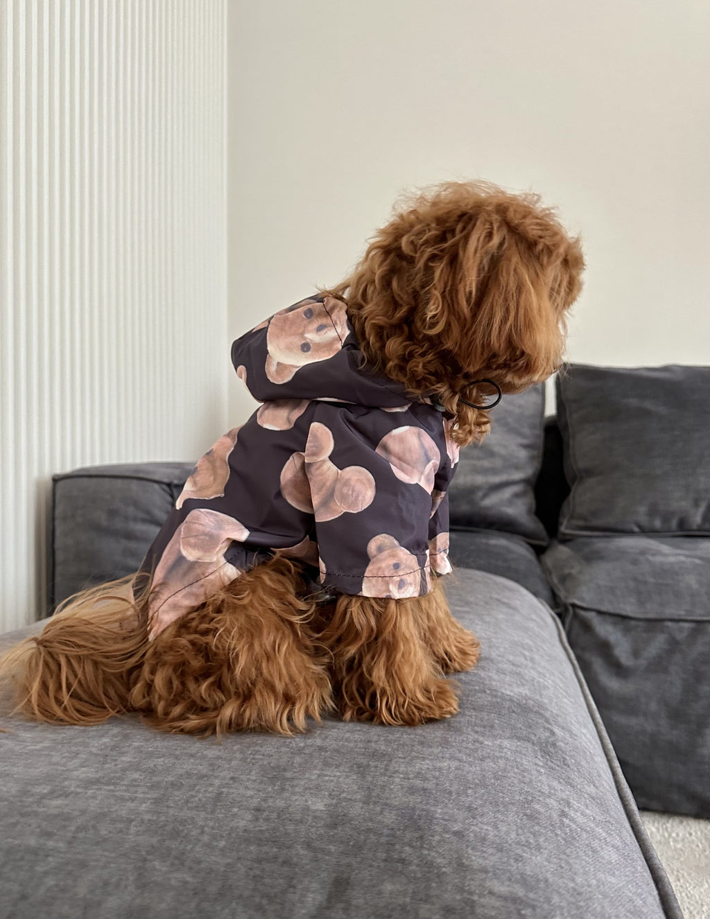 Black Bear windbreaker