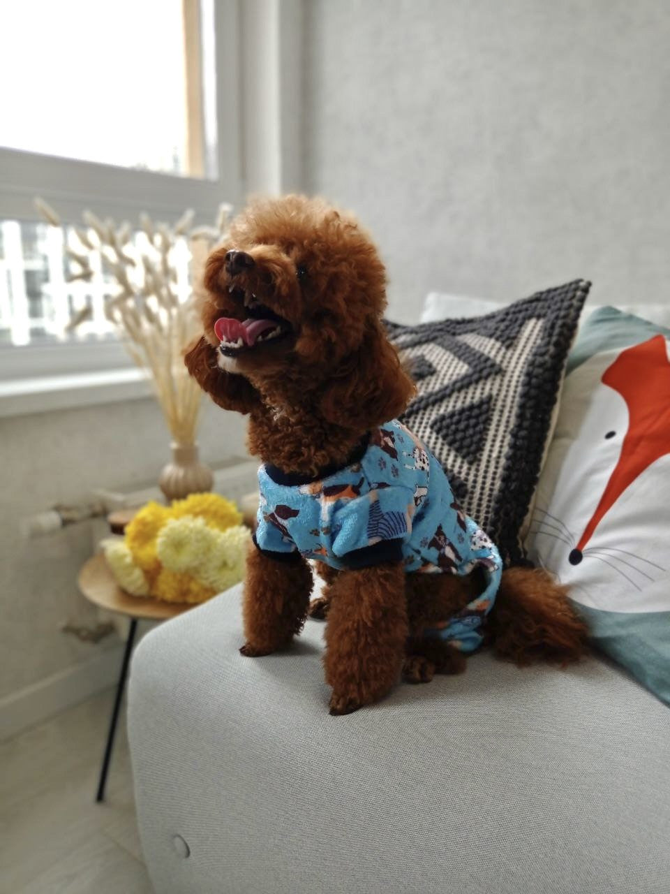 Woof &amp; Co blue pajama jumpsuit