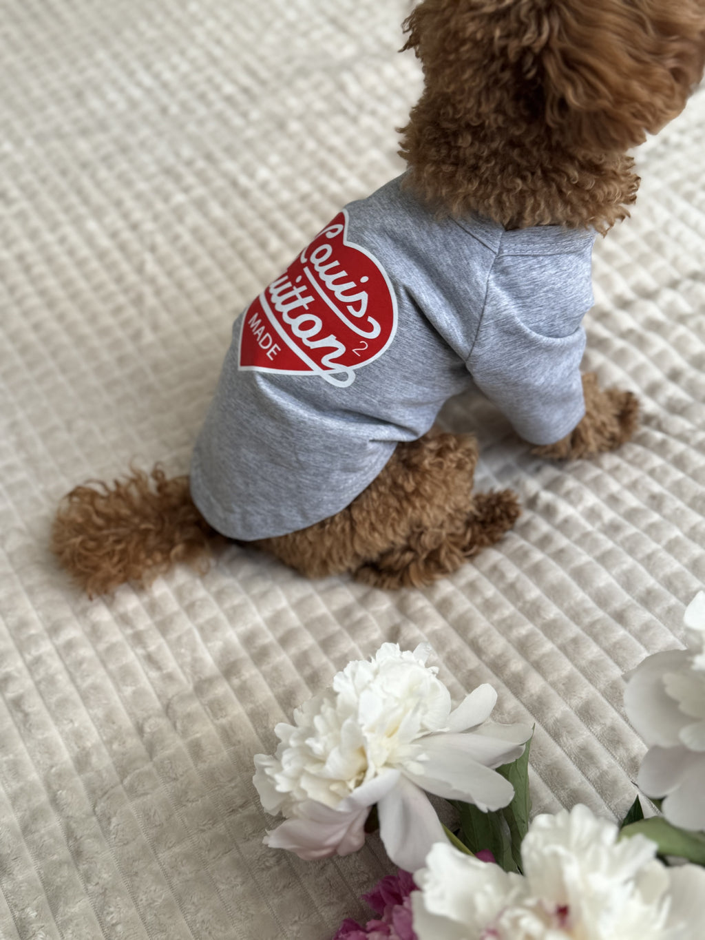 Gray T-shirt with LV print