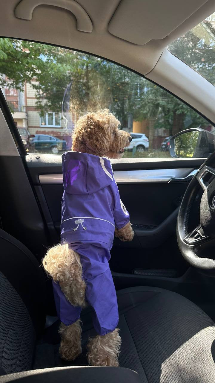 Cheepet purple raincoat