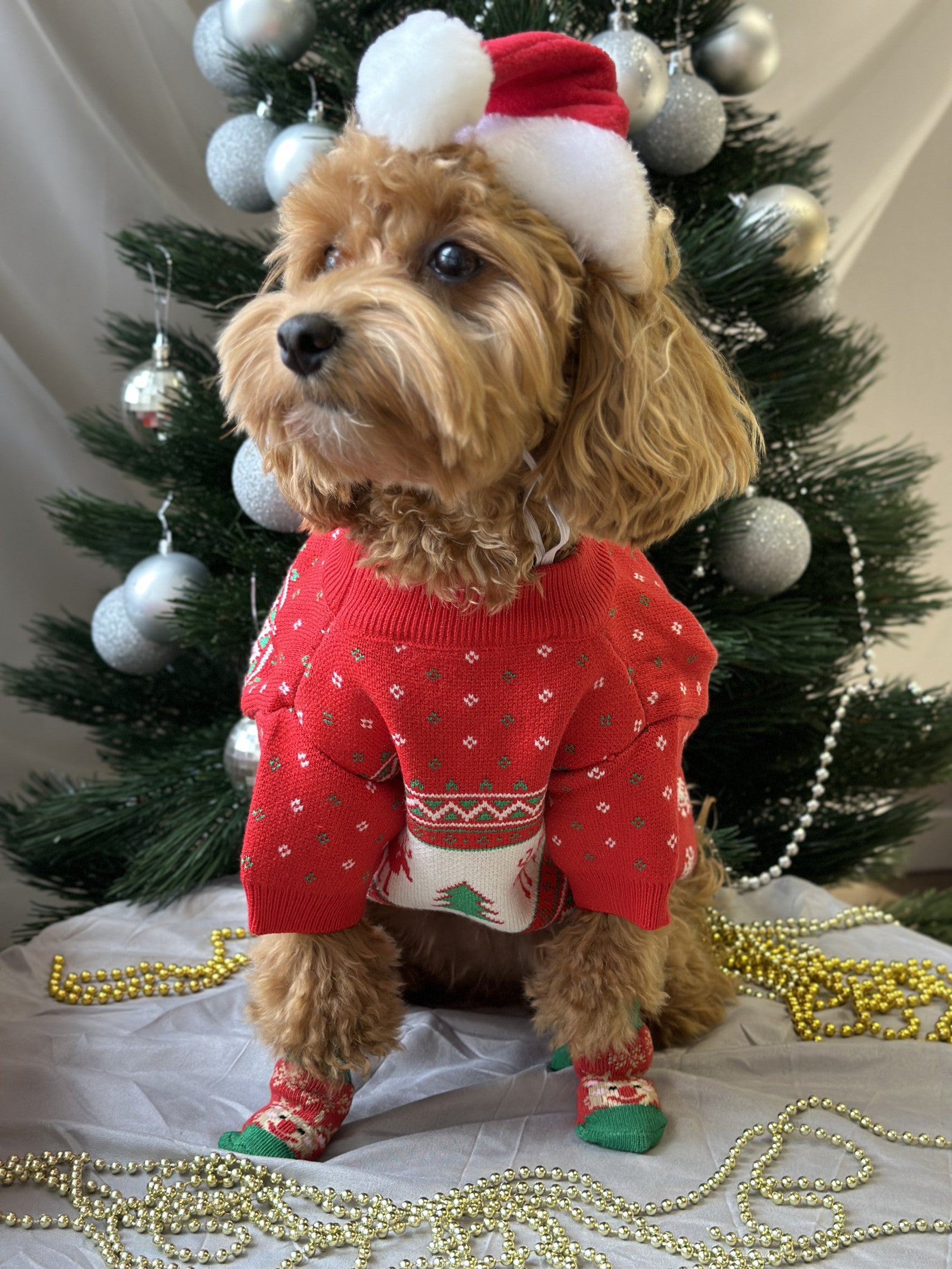 Светр червоного кольору з новорічним принтом Олені