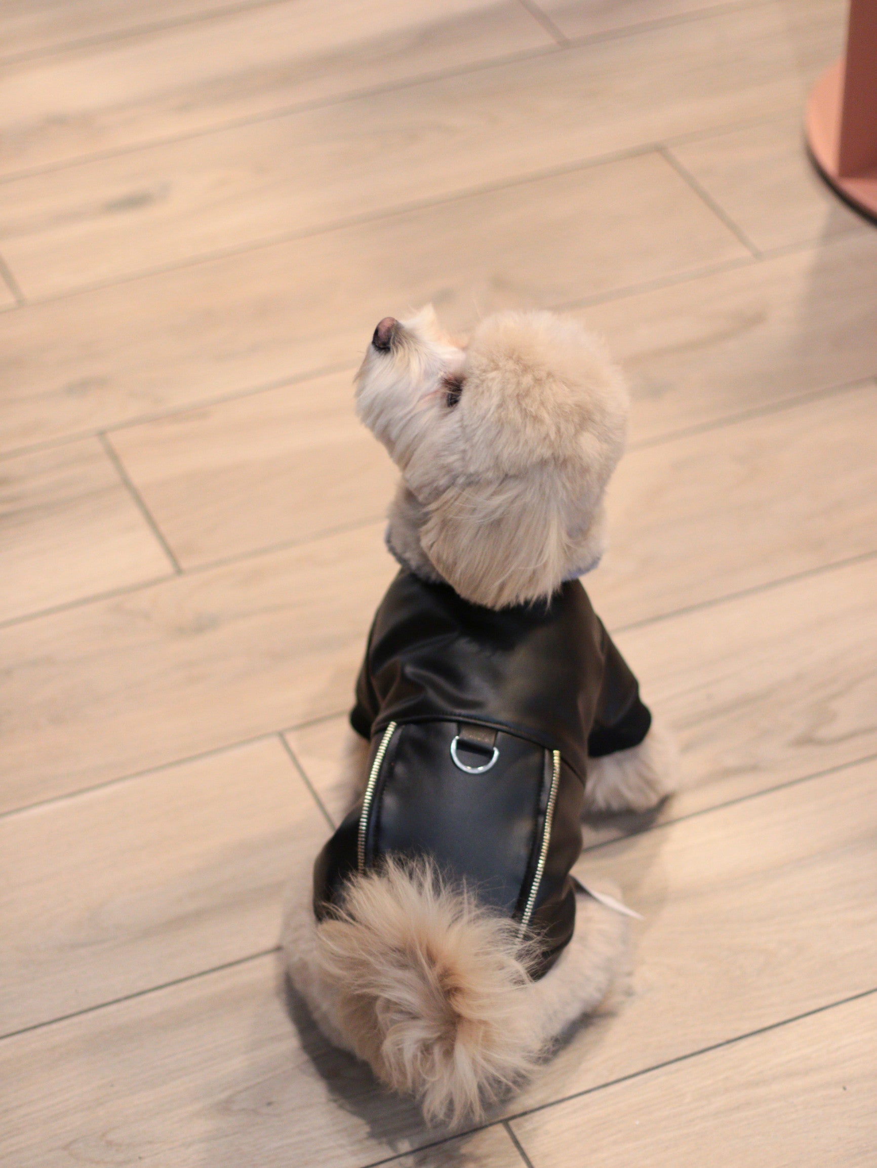 Куртка чорного кольору Leather jacket