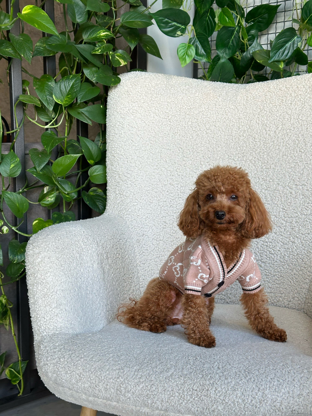 Brown cardigan with Gucci print