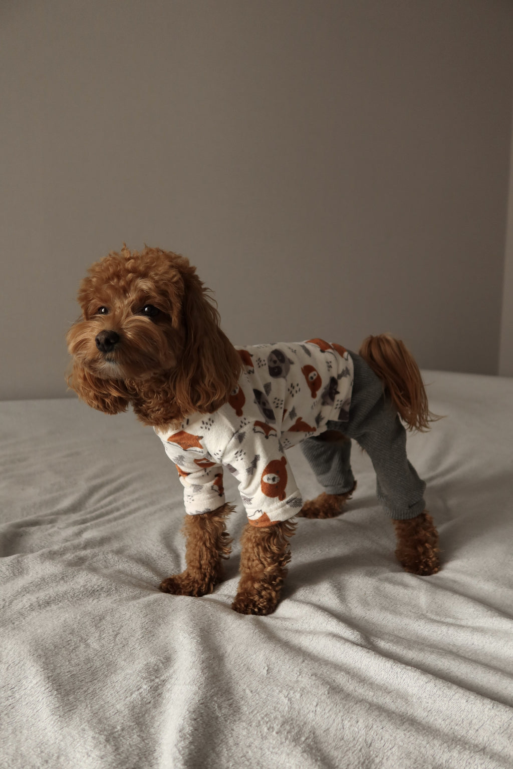 Forest Friends gray jumpsuit