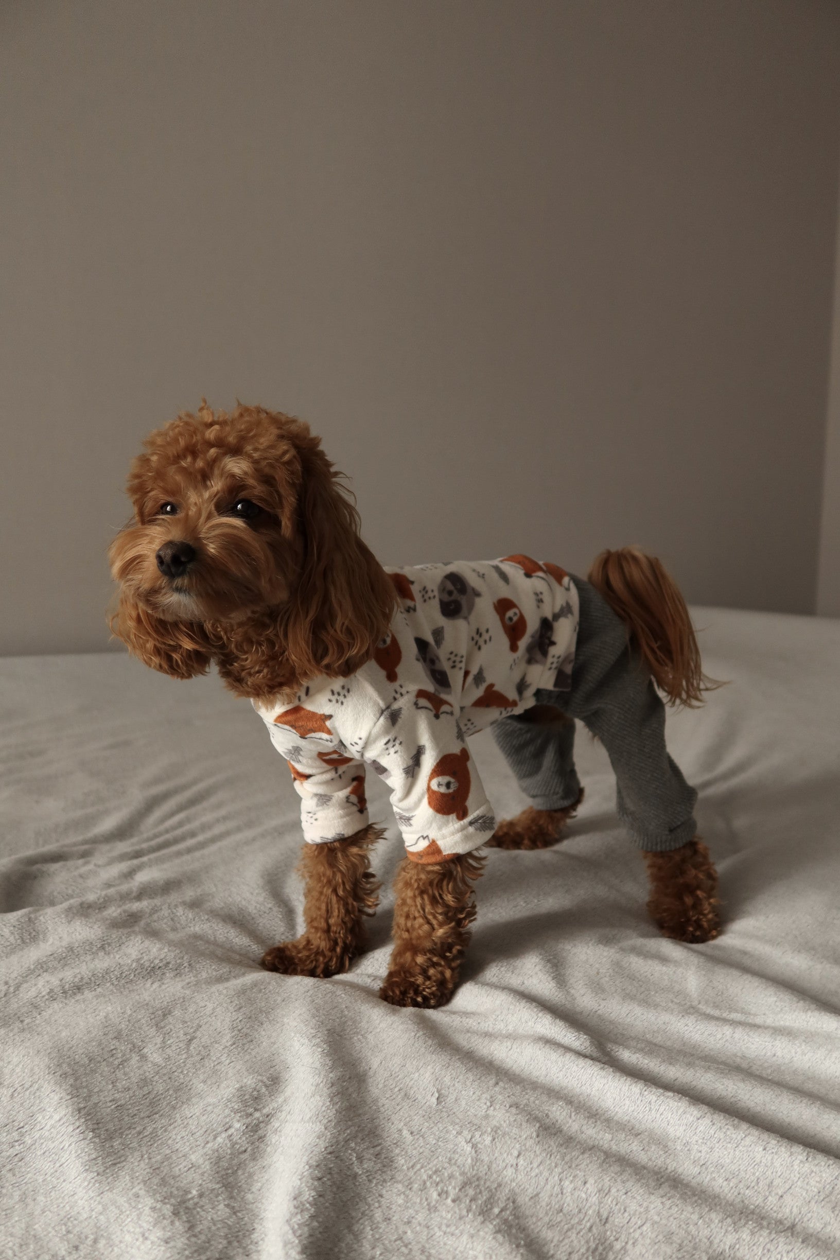 Комбінезон сірого кольору Forest Friends