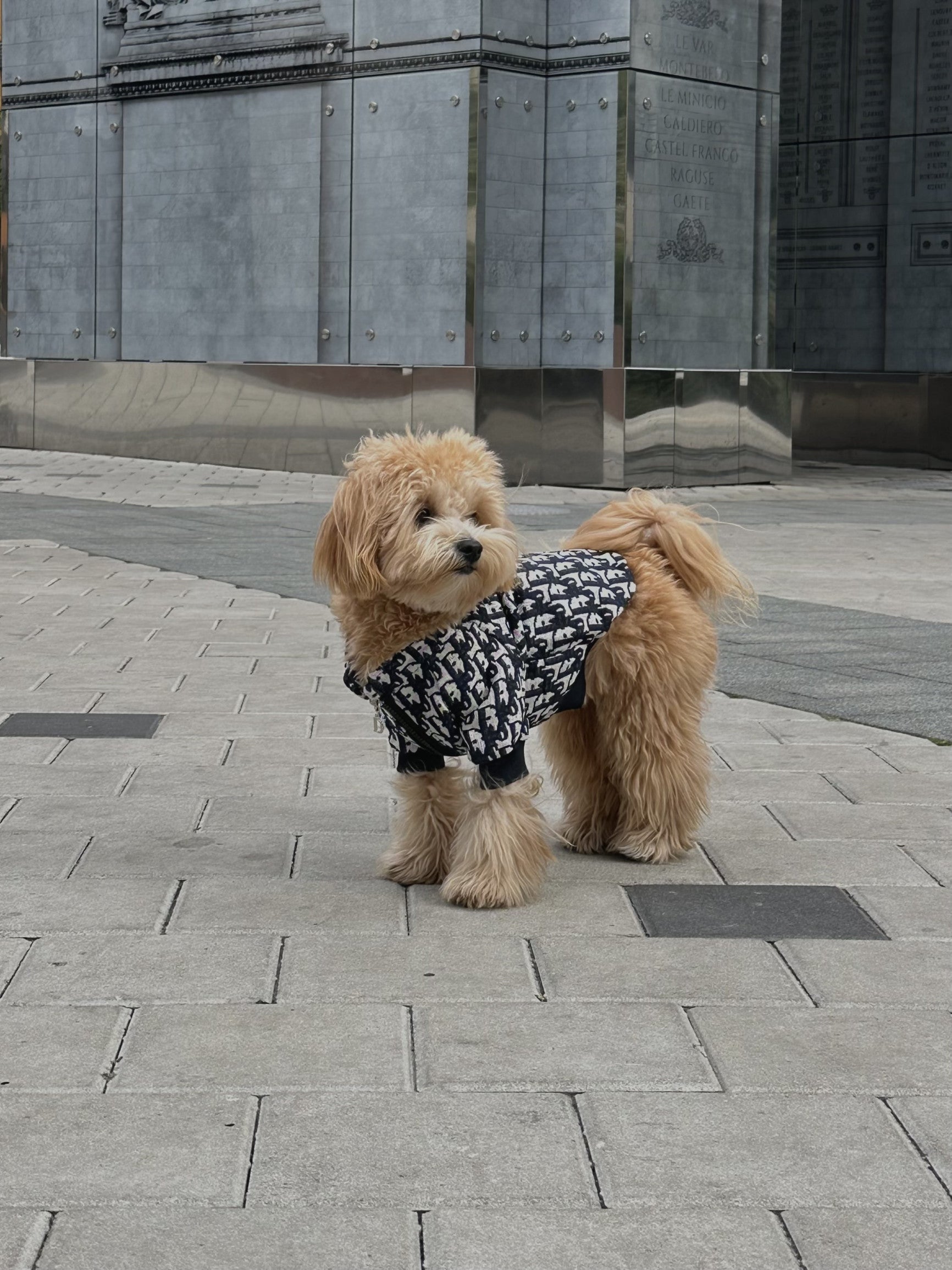 Бомбер біло-синього кольору з принтом Dior