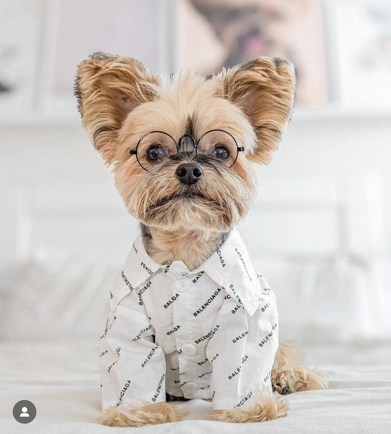 Сорочка білого кольору з принтом Balenciaga