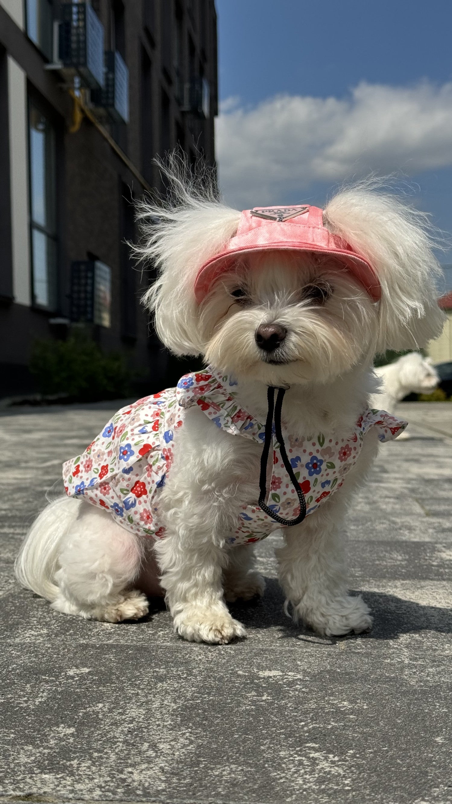 Сарафан білого кольору в квітковий Floral Paradise