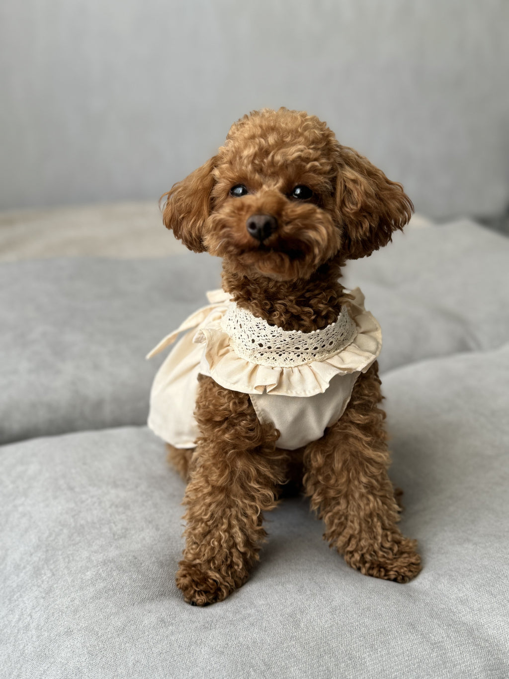 Cream Belle cream-colored viscose dress