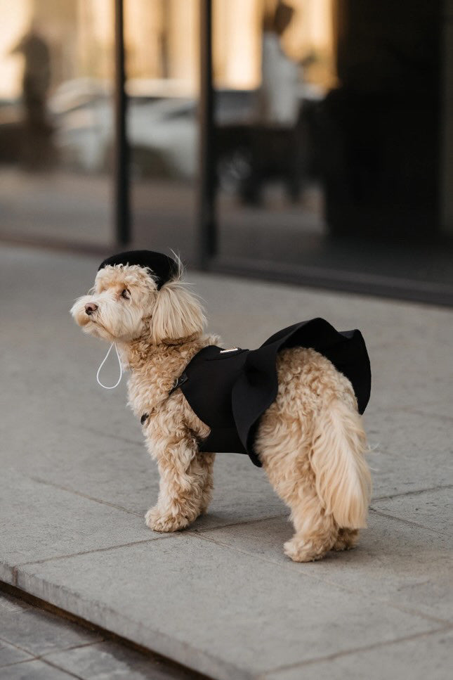 Black Icon Prada sundress