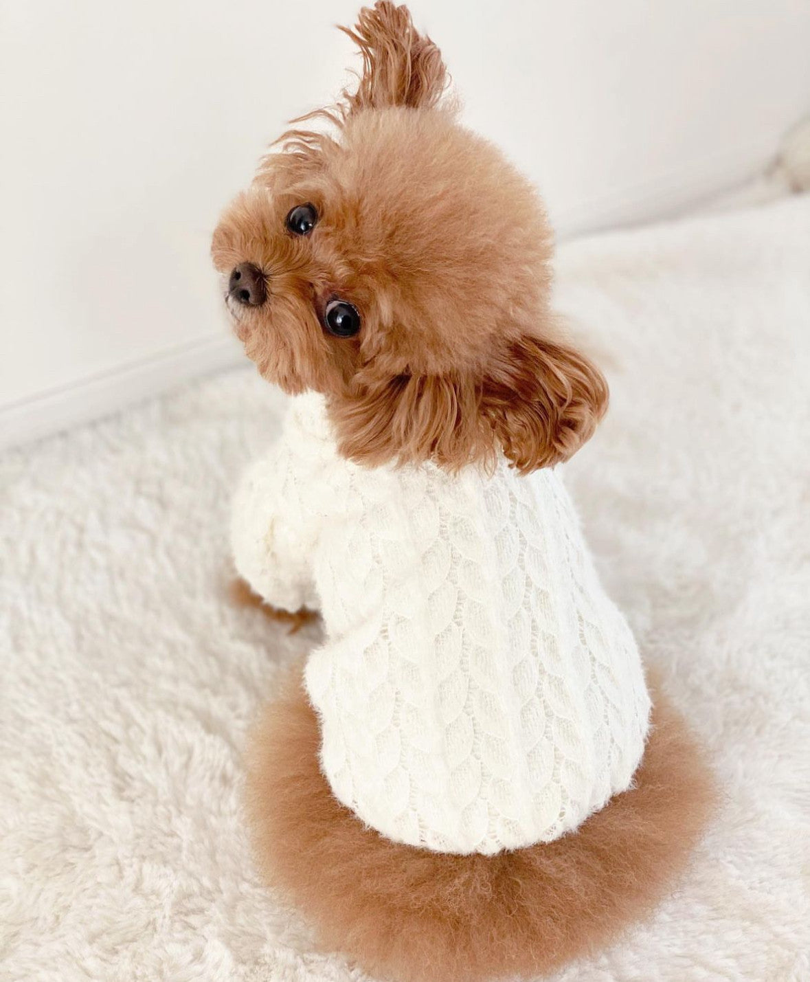 Светр молочного кольору Колосок