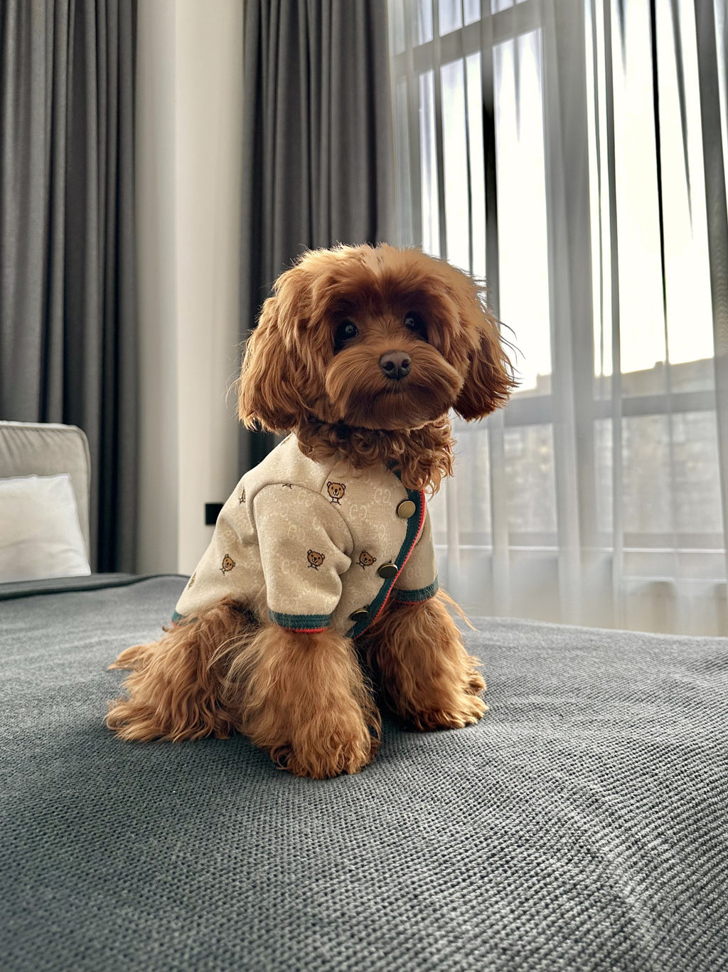 Beige cardigan with Gucci Bear print