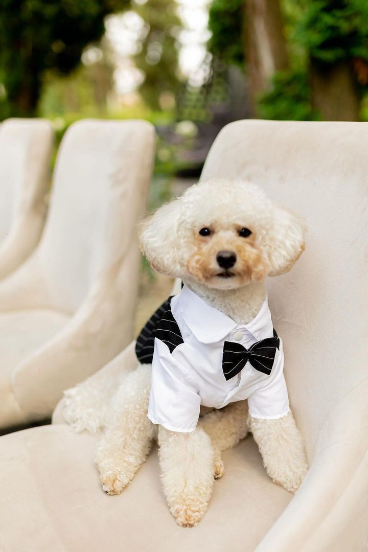 Смокінг чорно-білого кольору Gentle Classic