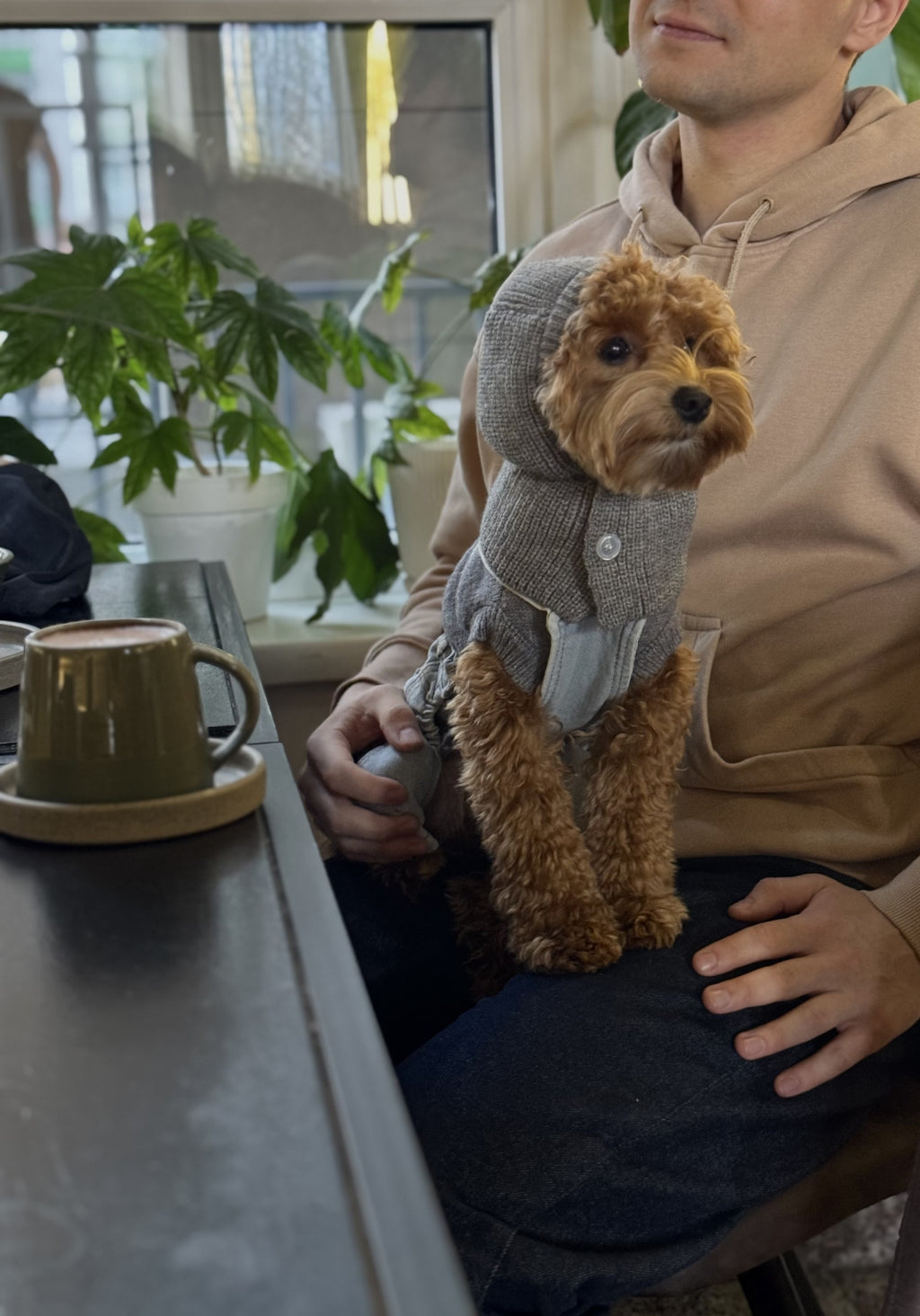 Светр-безрукавка сірого кольору Never Hood