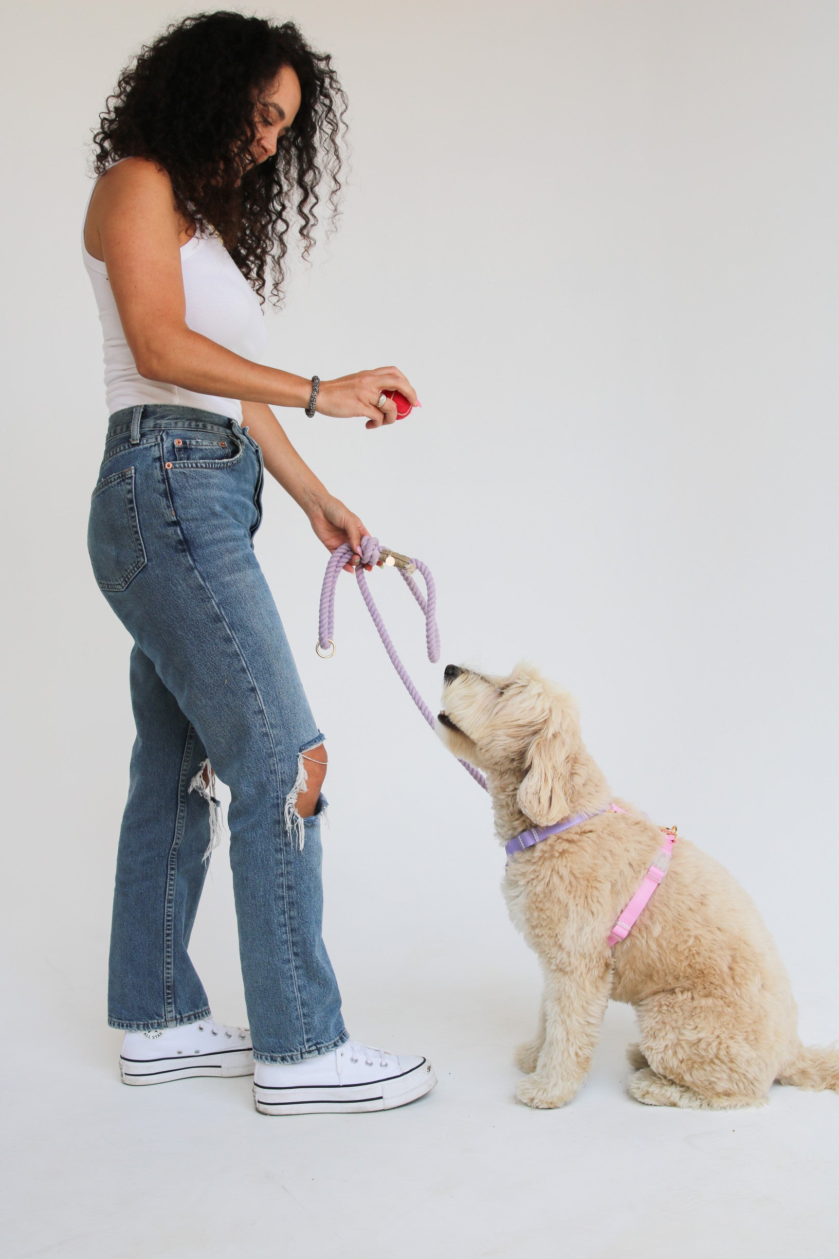 Шлея для собак Furlou - Lavender and Rose