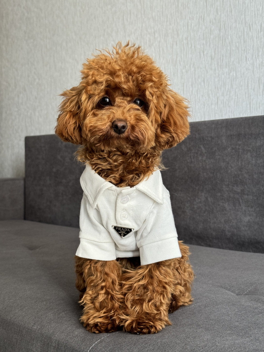 White polo shirt with Prada print