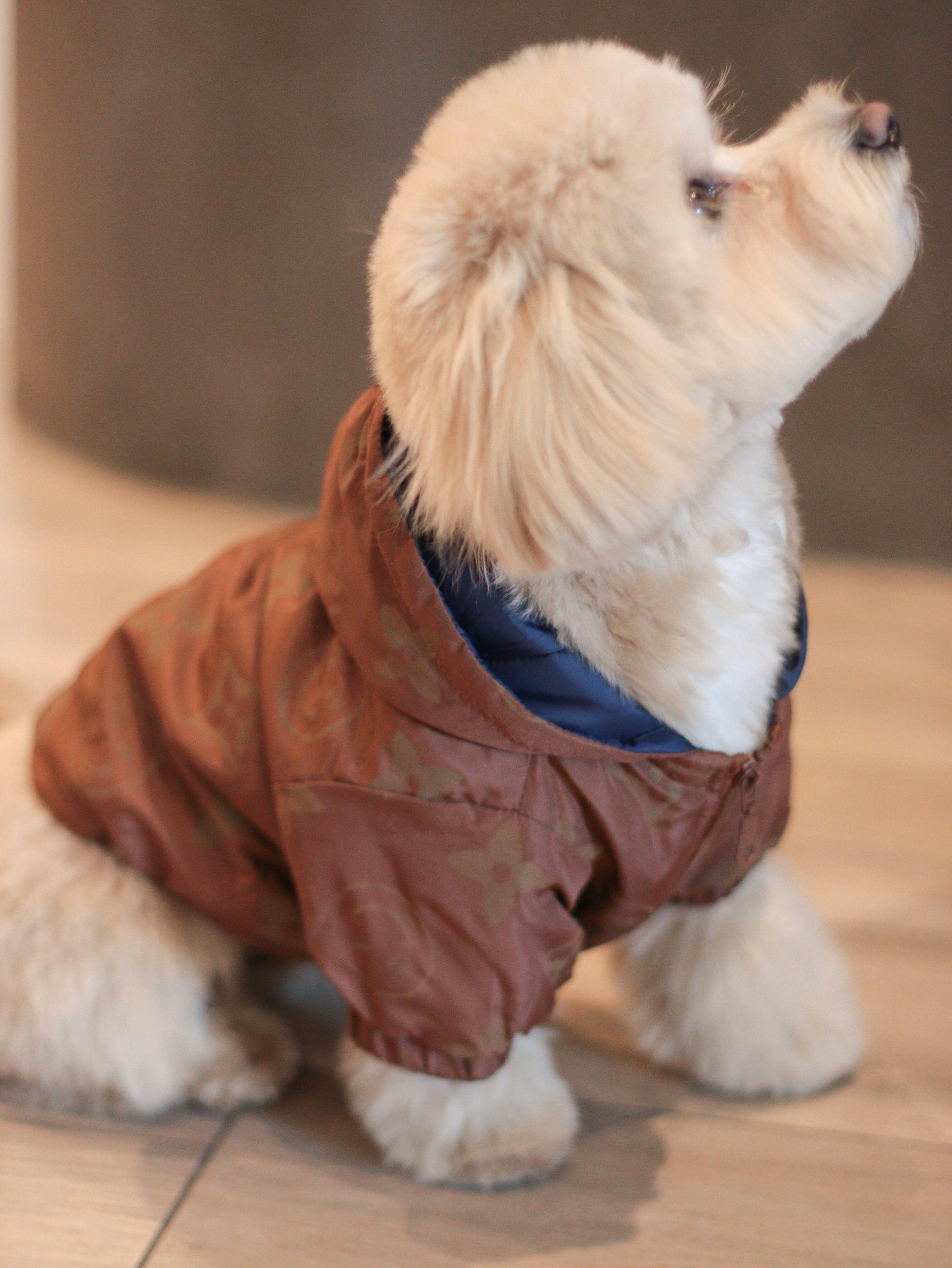 Куртка коричневого кольору Le Vie