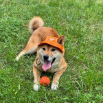 Prada orange Panama hat