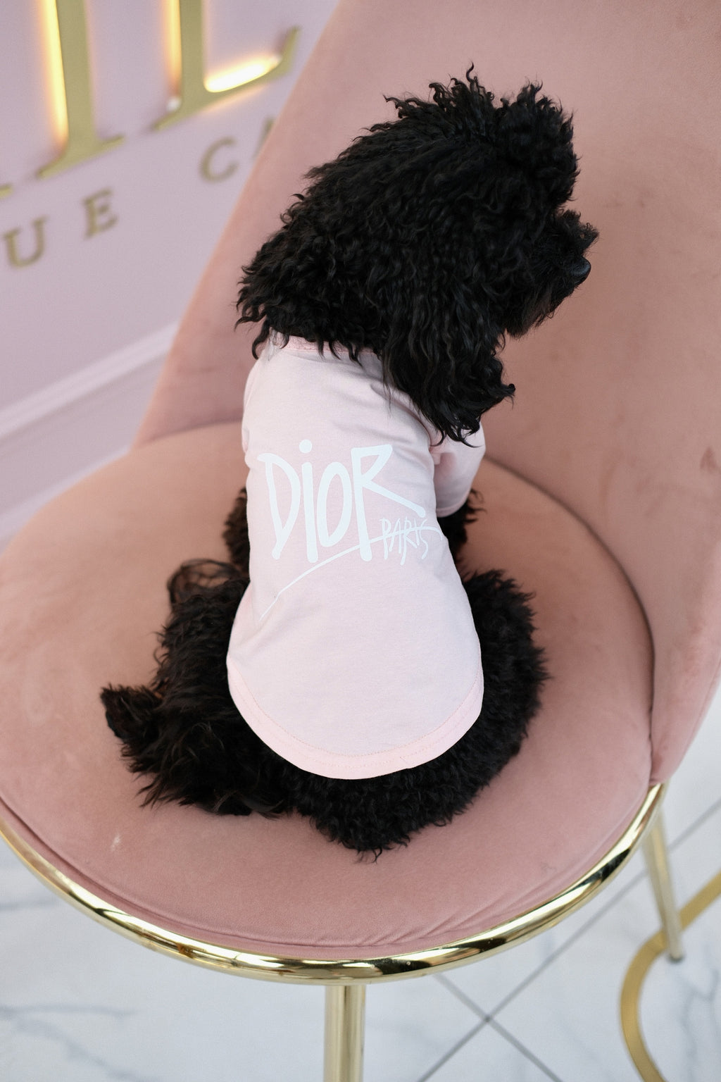 Pink T-shirt with Dior Paris print