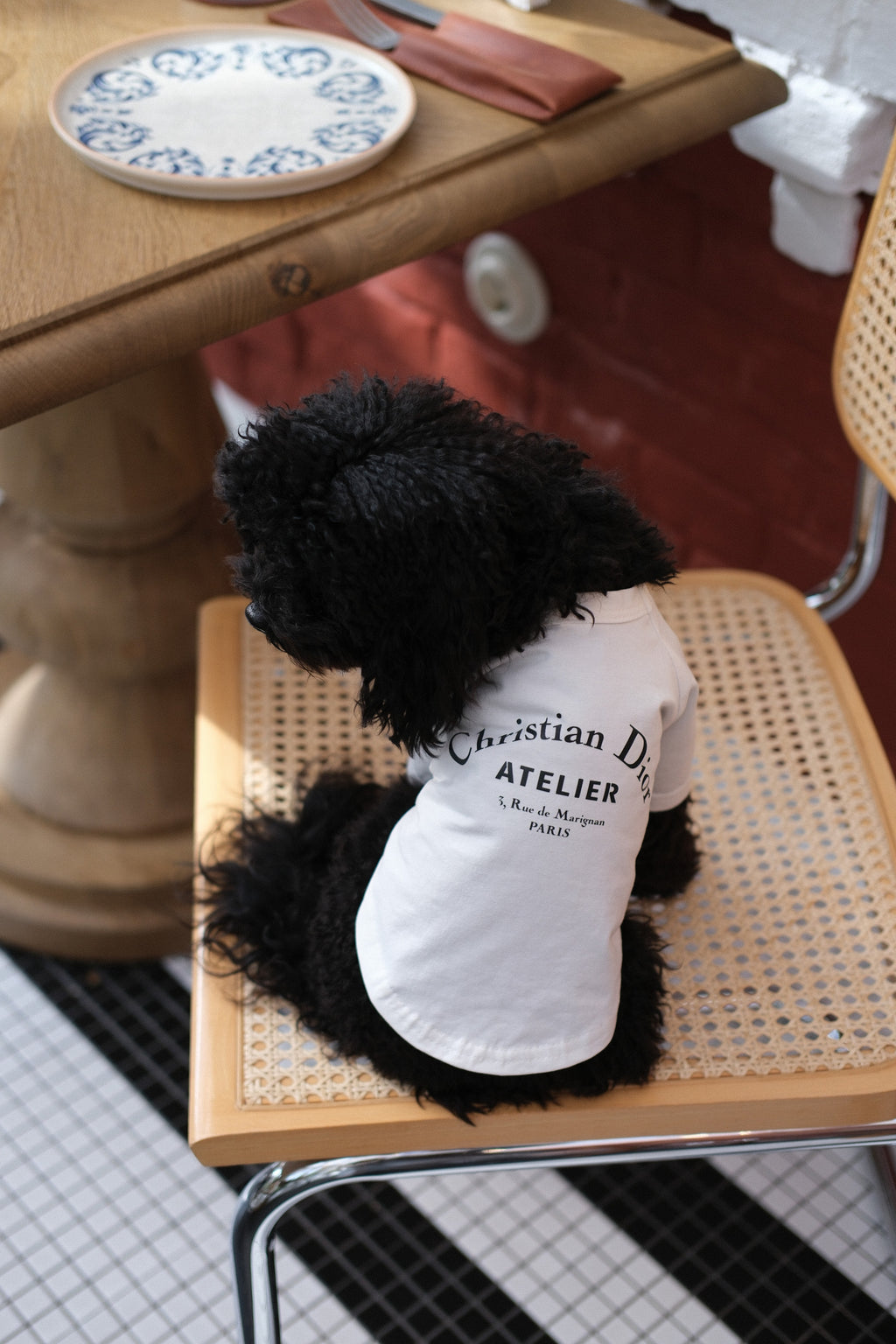 White T-shirt with Christian Dior Atelier Essence print