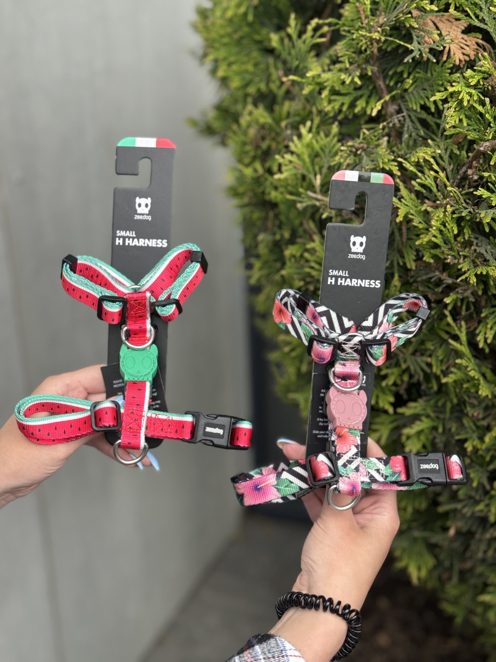 Шлея для собак Zee.Dog - Lola H-Harness