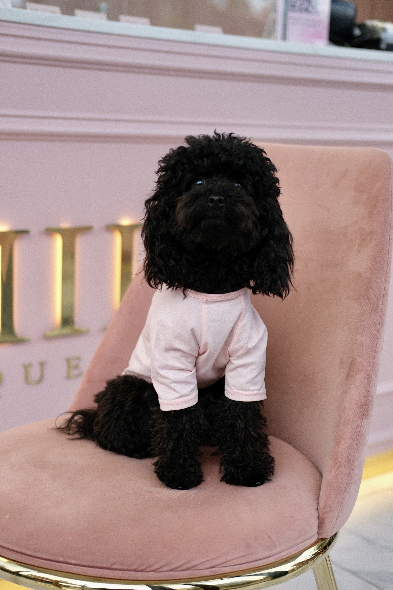 Футболка рожевого кольору з принтом Dior Paris