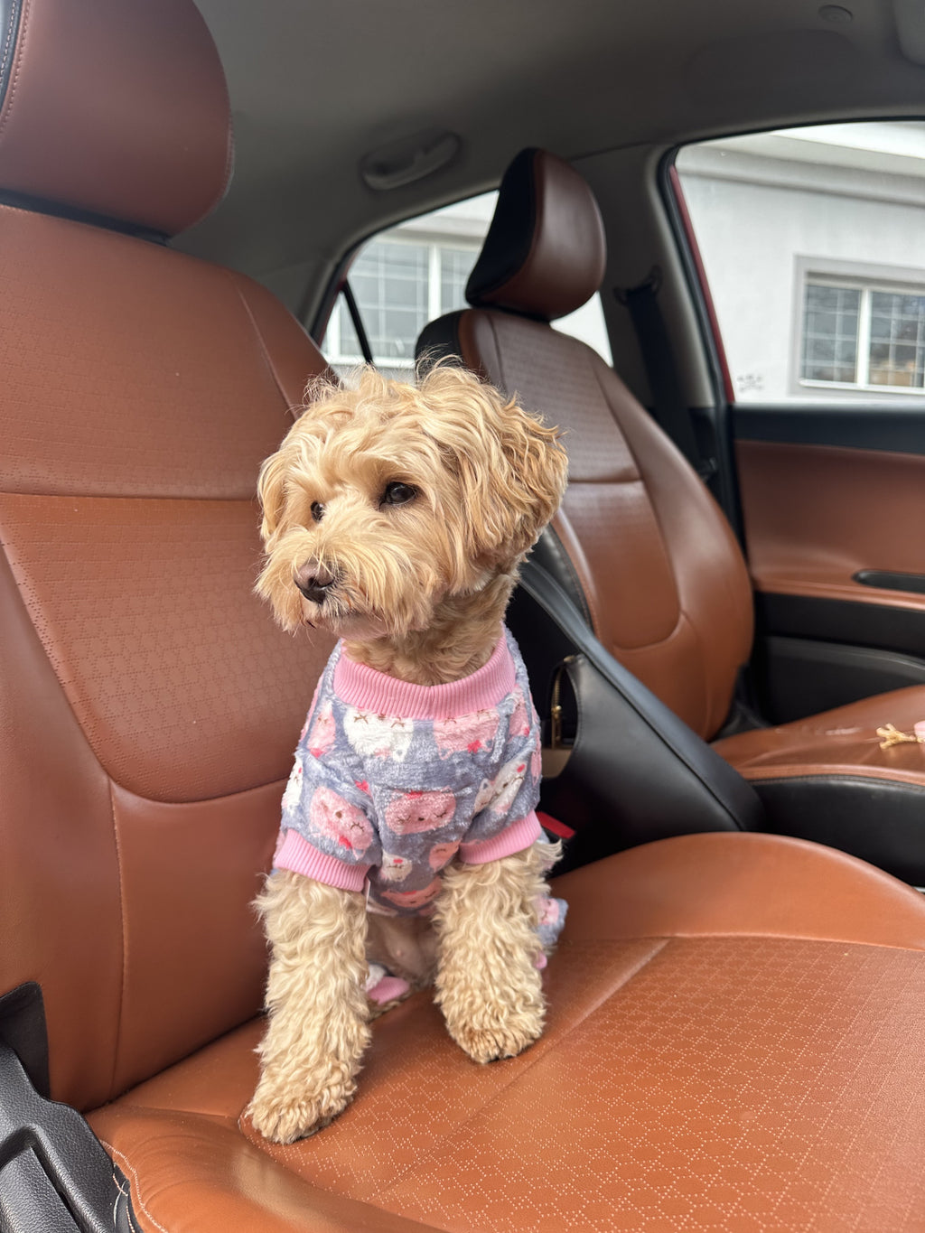 Комбінезон-піжама сірого кольору Kitty Dreams