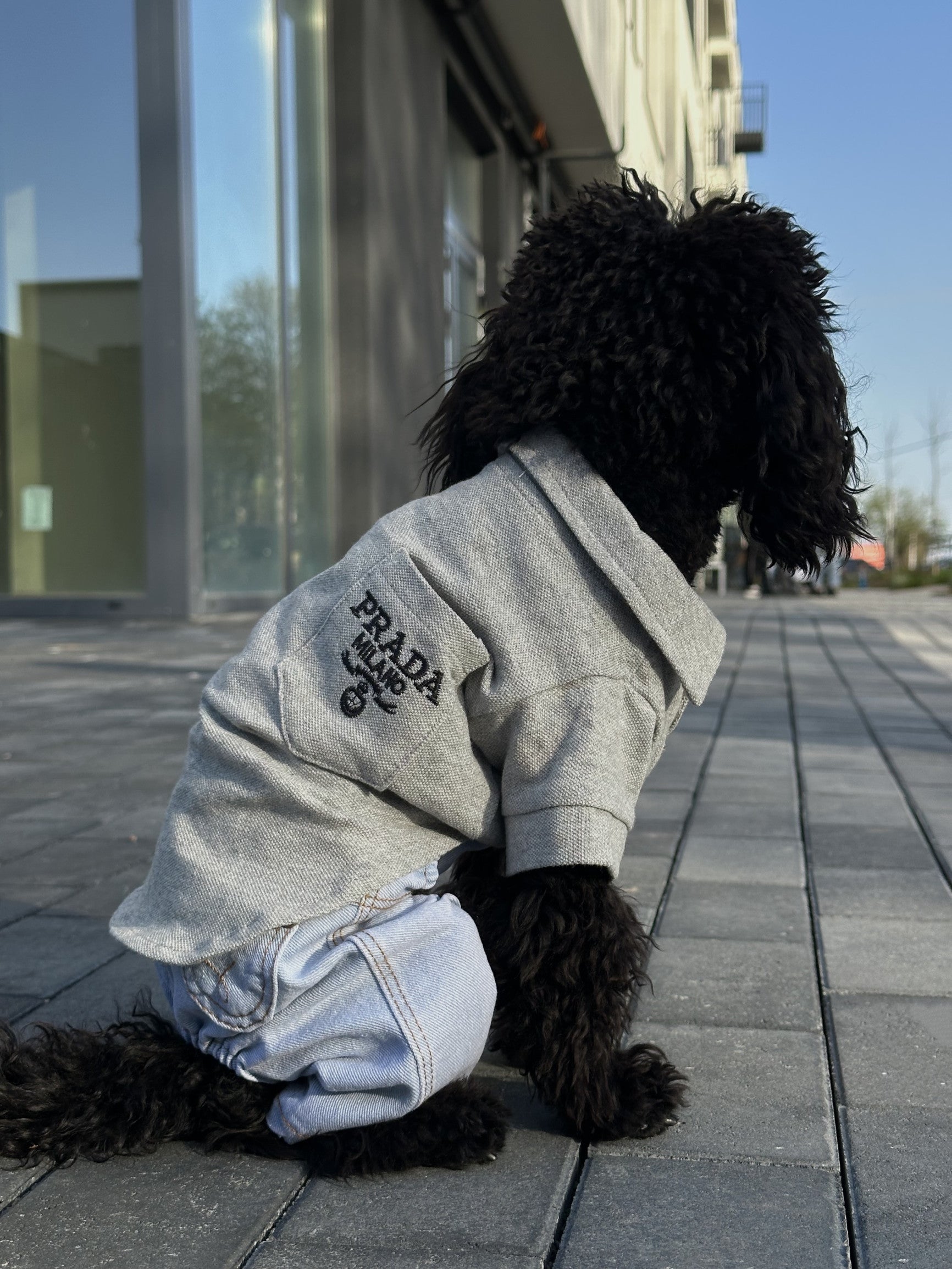 Футболка-поло сірого кольору Prada