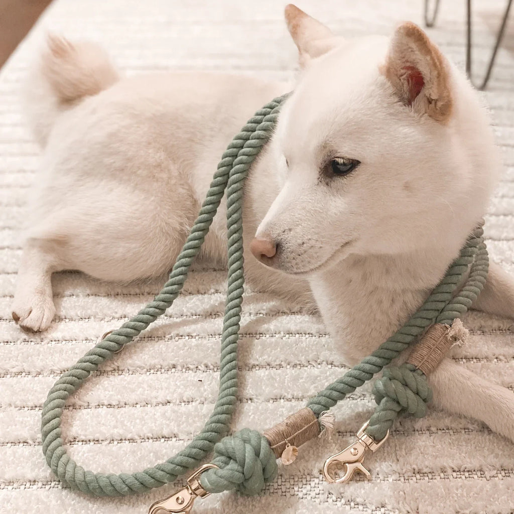 Повідець для собак Furlou Regular Rope Leash - Desert Sage