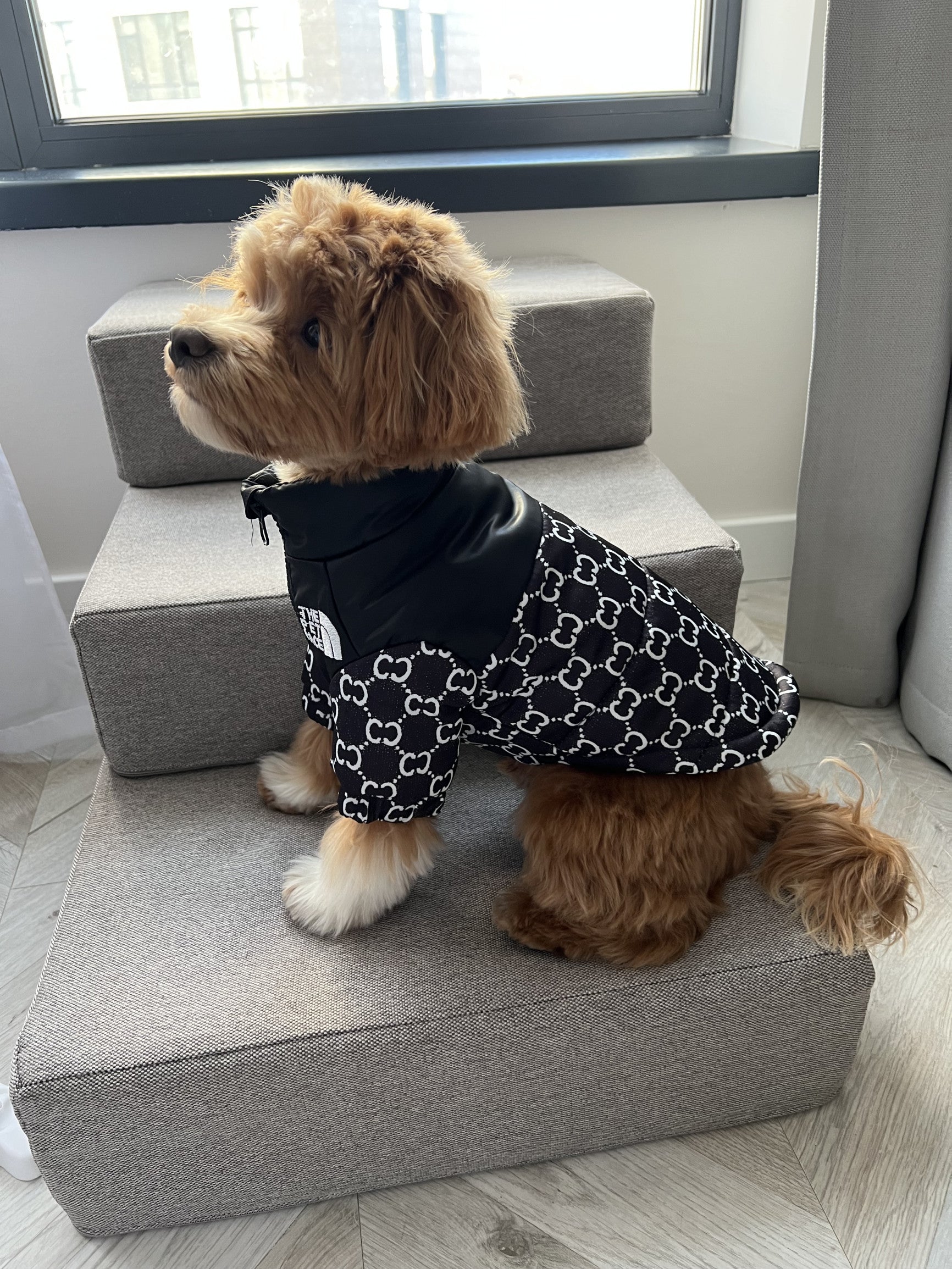 Куртка чорного кольору The pet face GG