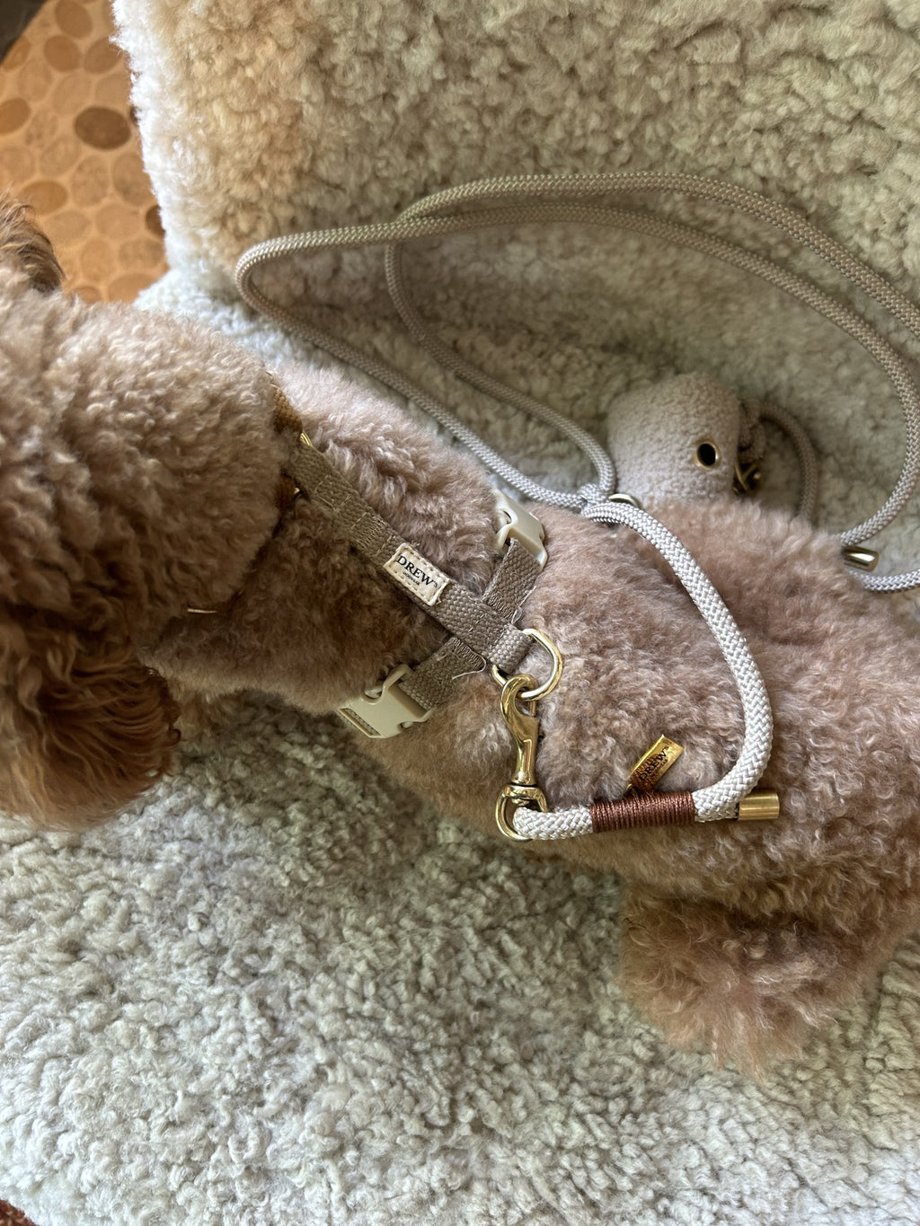 Шлея для собак Drew's Dogwear - Cortado