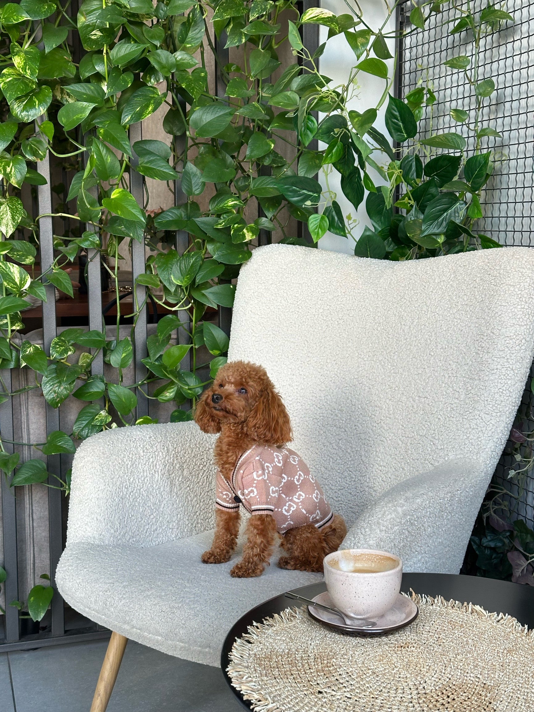 Кардиган коричневого кольору з принтом Gucci