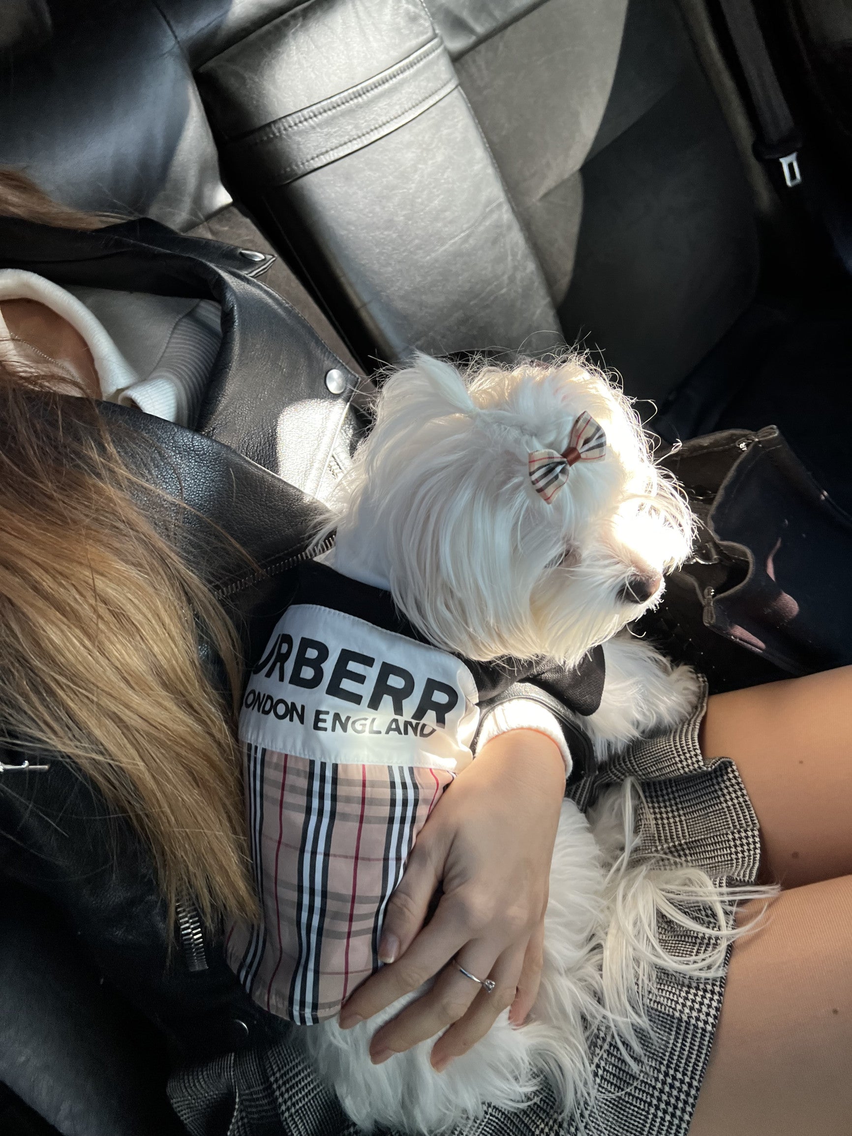 Футболка-поло чорна з принтом Burberry