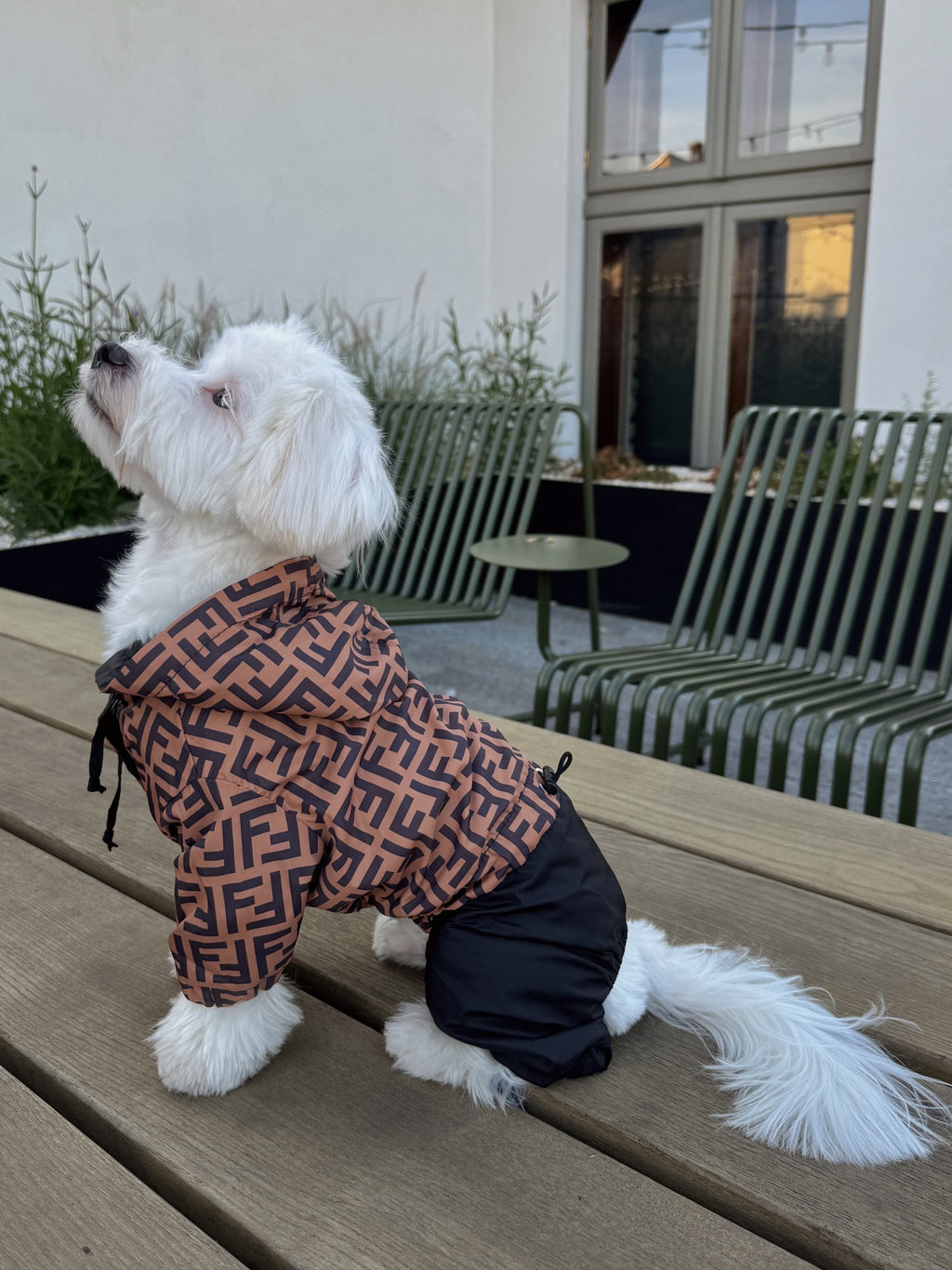 Brown raincoat with Fendi print