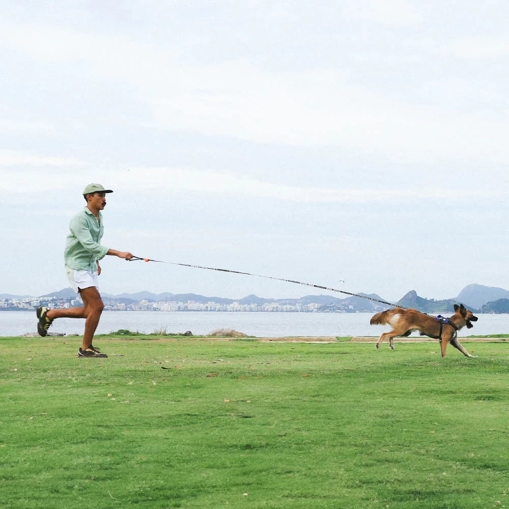 Повідець для собак Zee.Dog - Long Leash Leopard