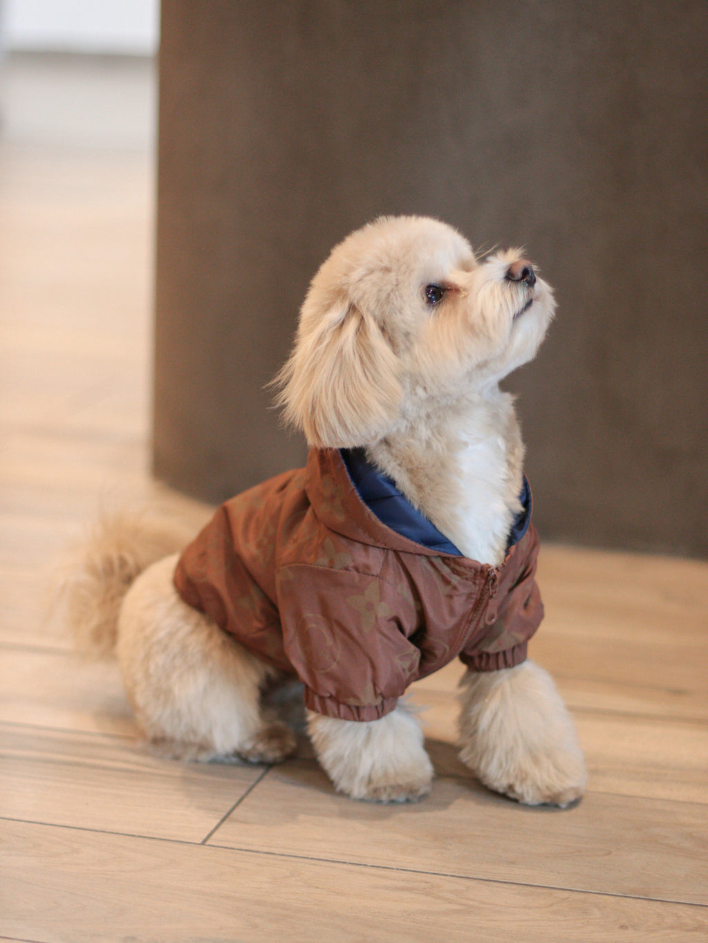 Куртка коричневого кольору Le Vie