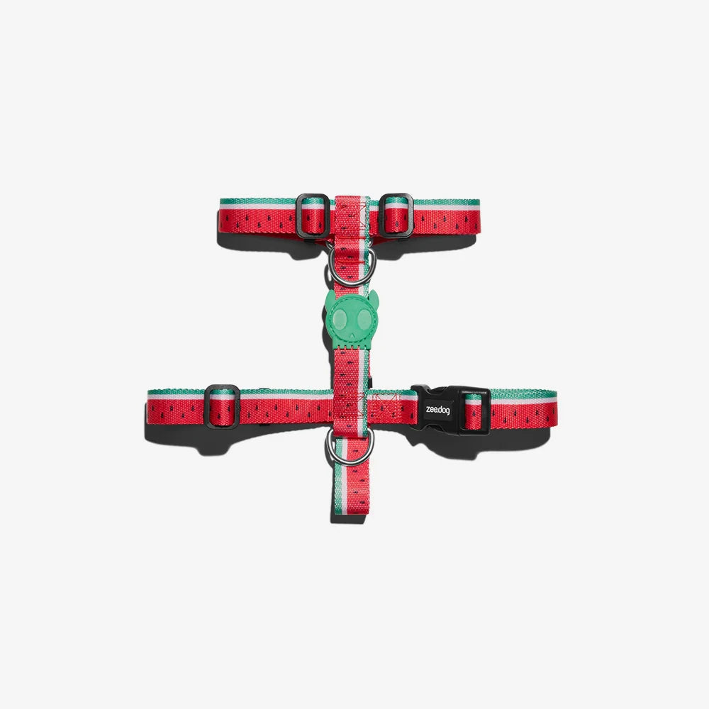 Шлея для собак Zee.Dog - Lola H-Harness