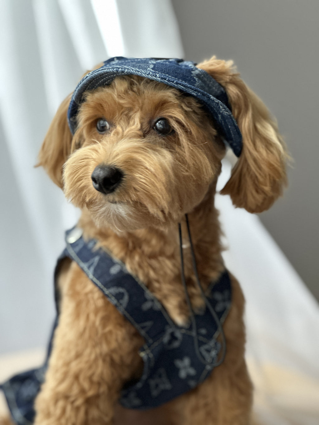 Denim sundress with ruffles and LV print