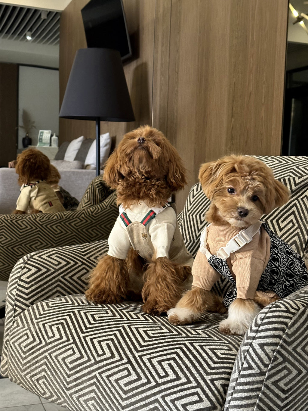 Штани чорного кольору Dior Style