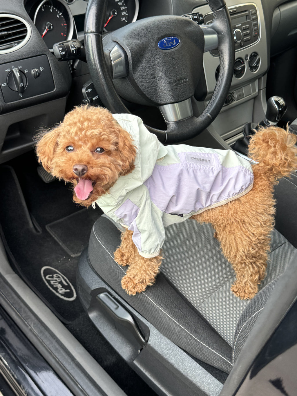 Cheepet mint raincoat